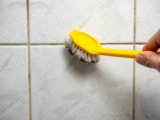 Best Localized Mold Remediation (e.g., coastal areas, humid climates) in Derma, MS