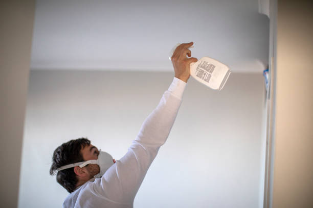 Best Insurance-Related Mold Remediation in Derma, MS